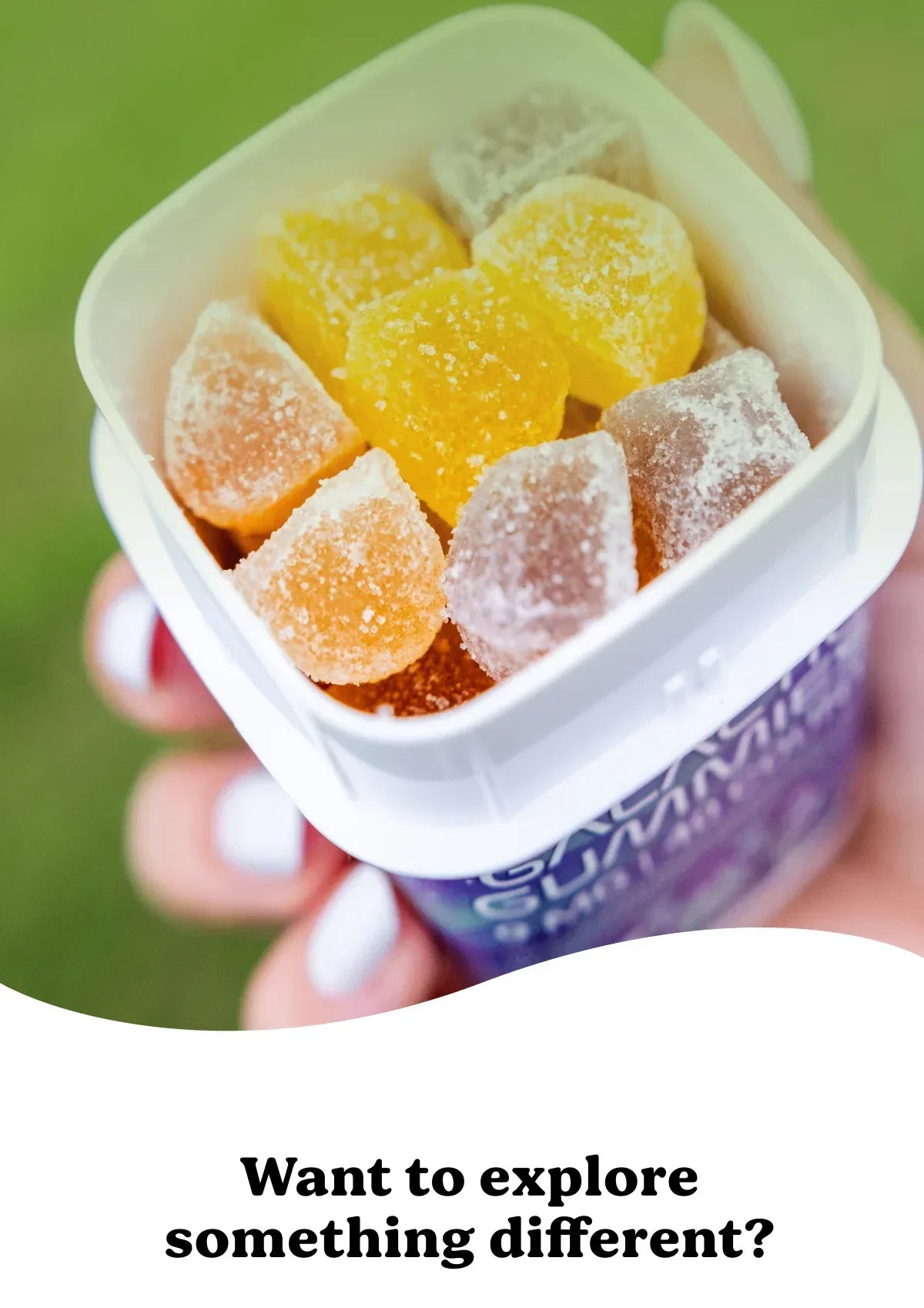 A photograph of a container of THC gummies in a person’s hand. The person is wondering how long THC gummies last. Find out if THC gummies expire and how long THC gummies stay in your system at this blog from NOVA Hemp.