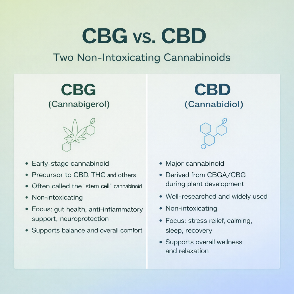 A Deep Dive into CBG vs CBD for Targeted Wellness