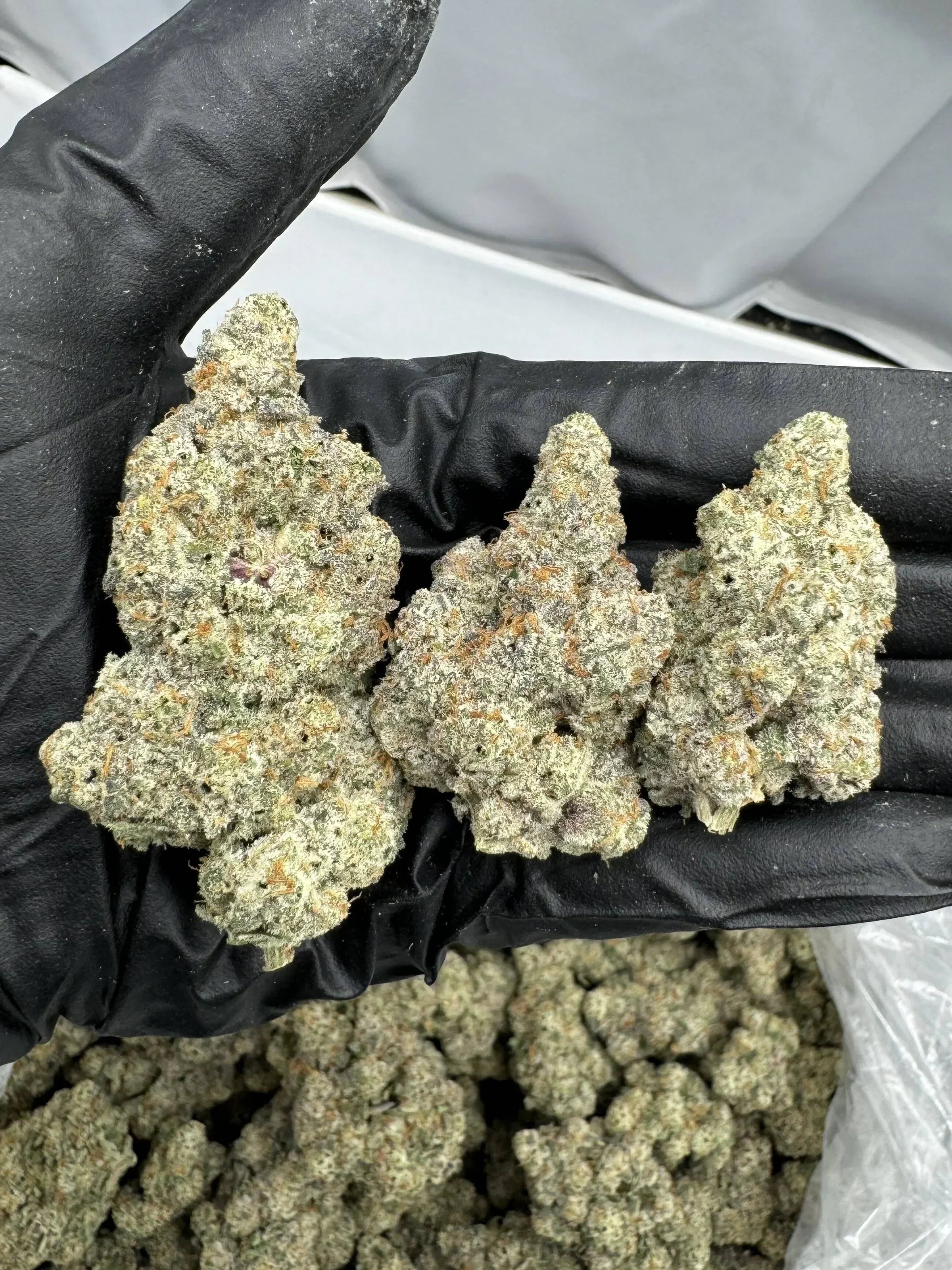 A photograph of Silver Spoon THCa flower, some of the best THCa flower. Learn about the best THCa flower strains 2025 and pick up some new options with NOVa Hemp.