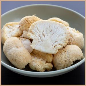 a close up image of Lions Mane Mushrooms