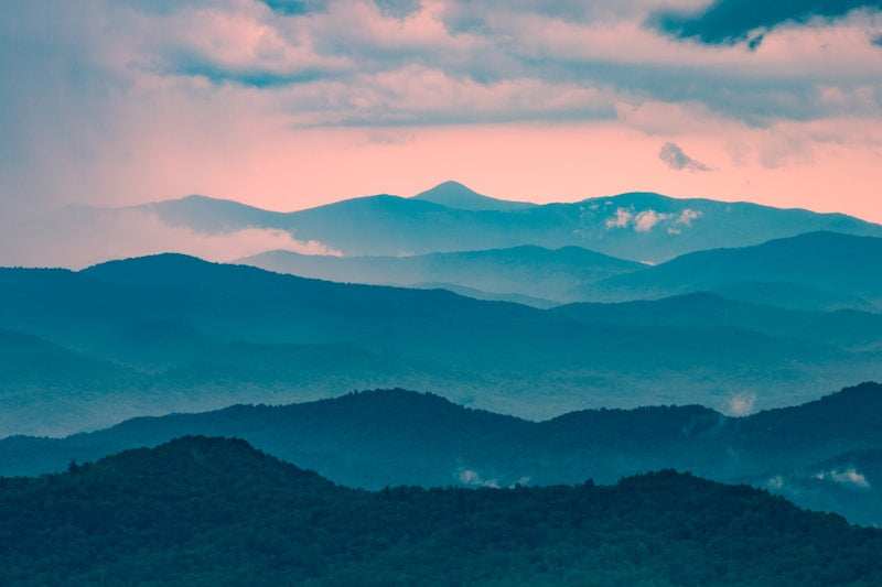 THC Edibles in North Carolina