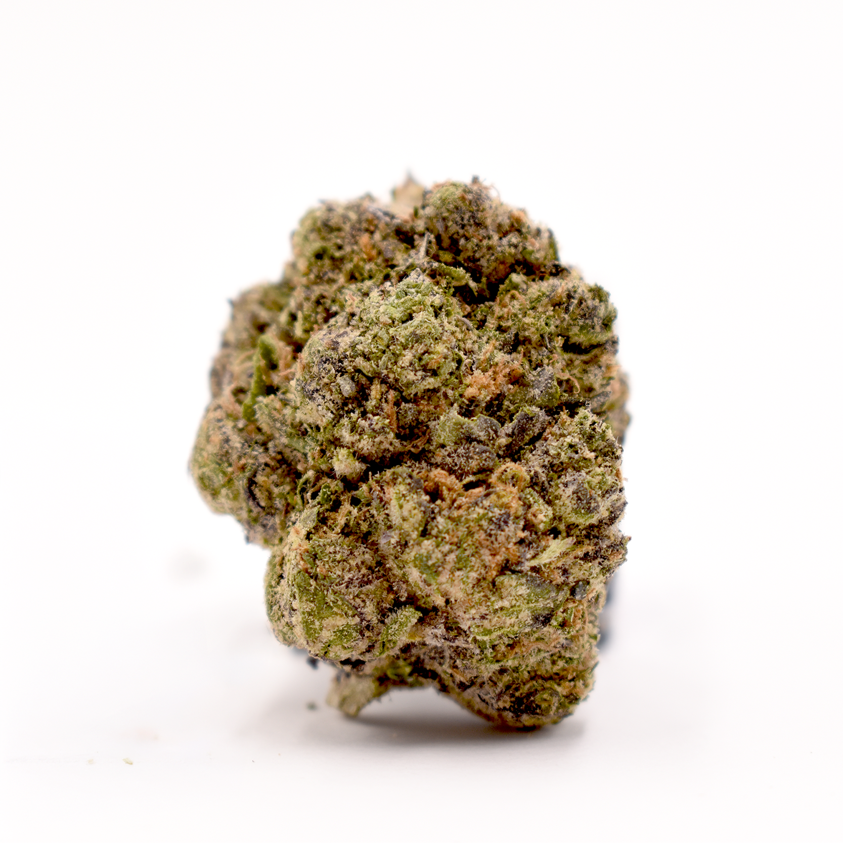 Close-up of a cannabis bud with green and purple hues, showing a textured surface.