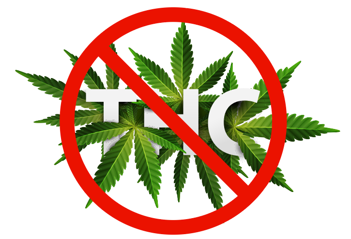 A red circle with a cross over the word THC, surrounded by green cannabis leaves.