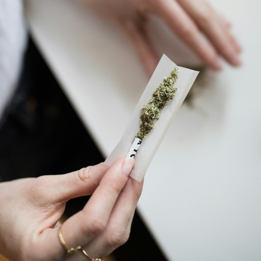 A person carefully prepares a joint with THCa flower on a rolling paper, focusing on the detailed texture of the premium cannabis products offered from NOVA Hemp.