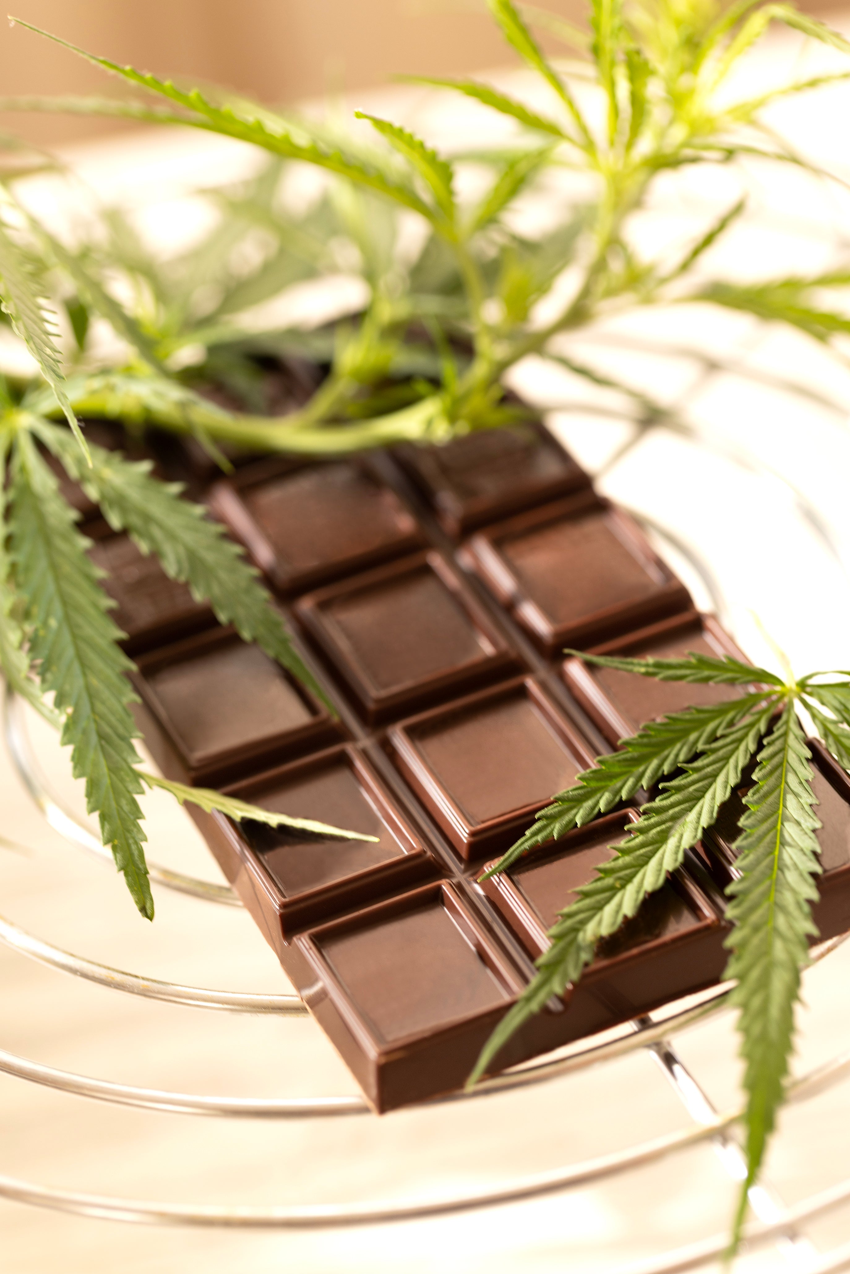 A dark chocolate bar on a wire rack, surrounded by green cannabis leaves.