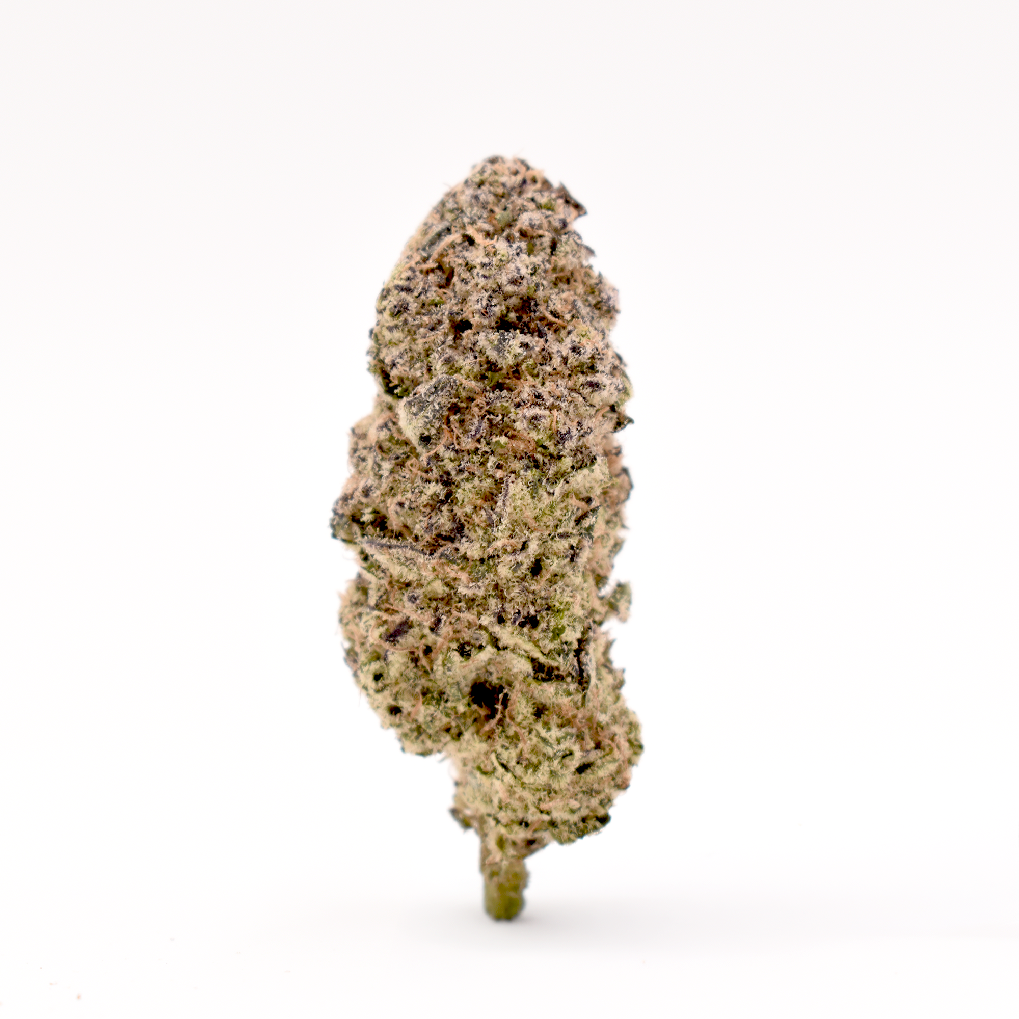 Jolly Rancher THCa Flower