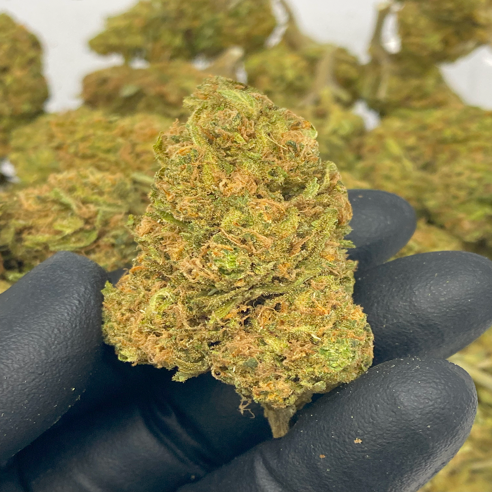 1 OZ (Light Assist) THCa Flower Specials