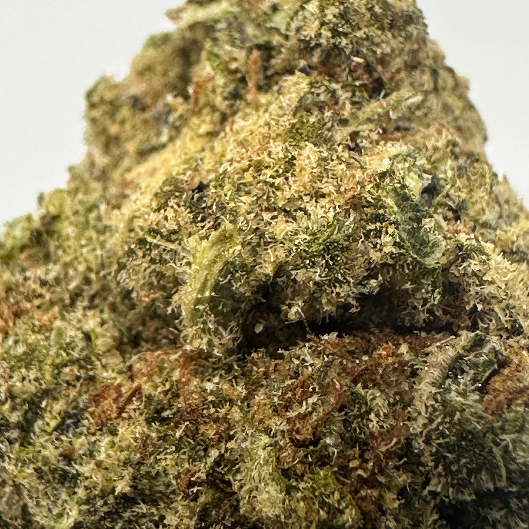 Close-up of a cannabis bud with green and brown hues on a white background