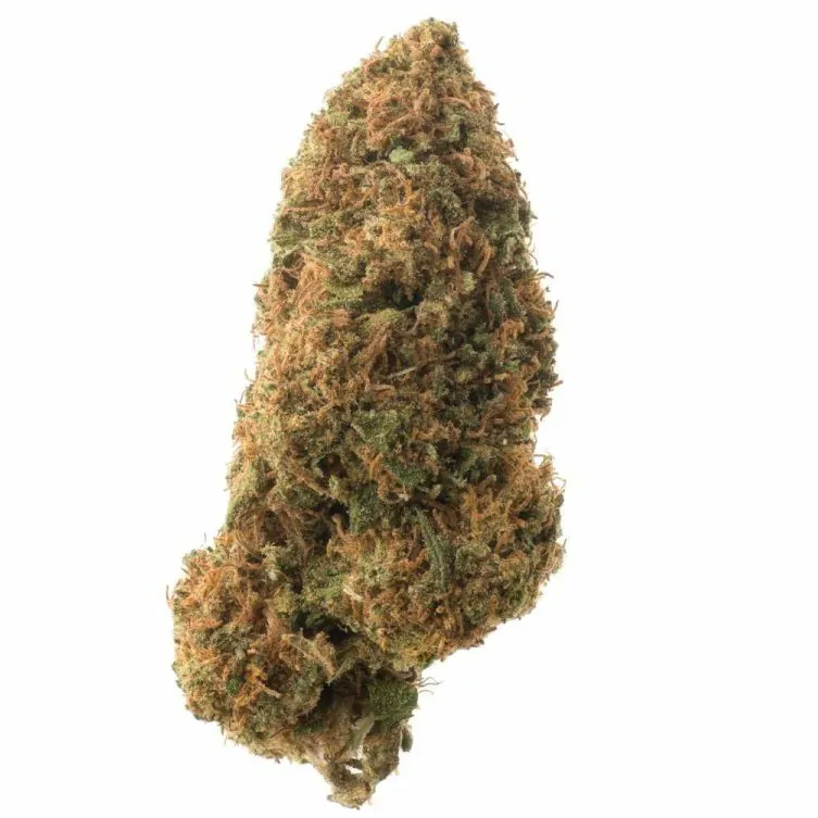 CBD Flower: Sour Lifter