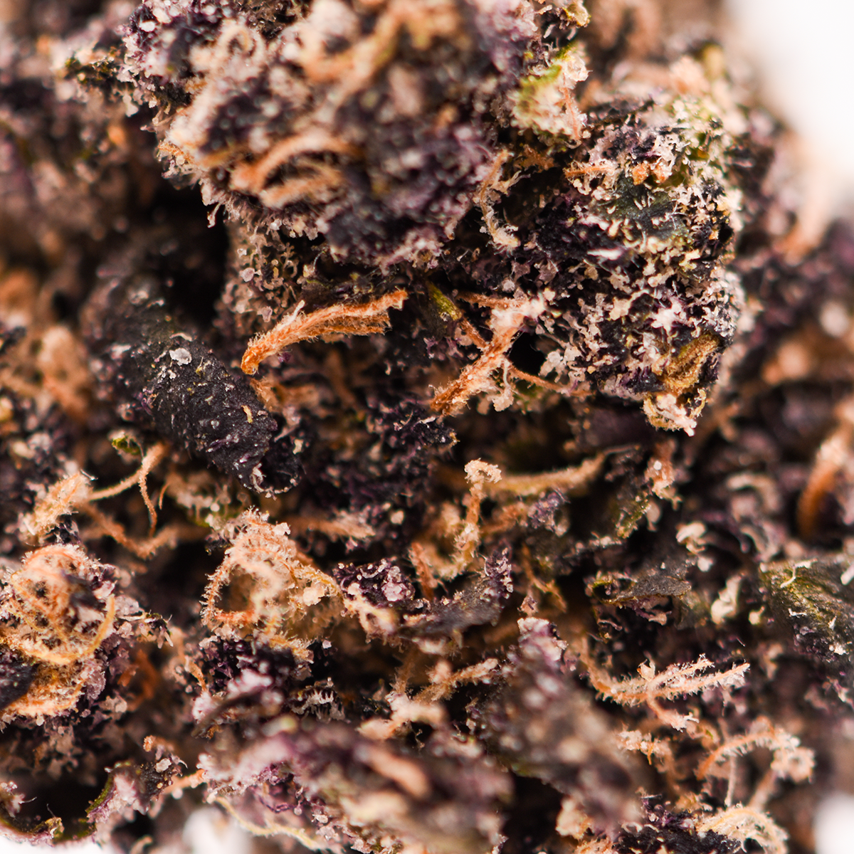 Blue Zookies THCa Flower