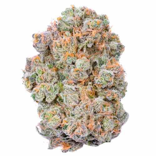 Strawberry Cough THCa Flower