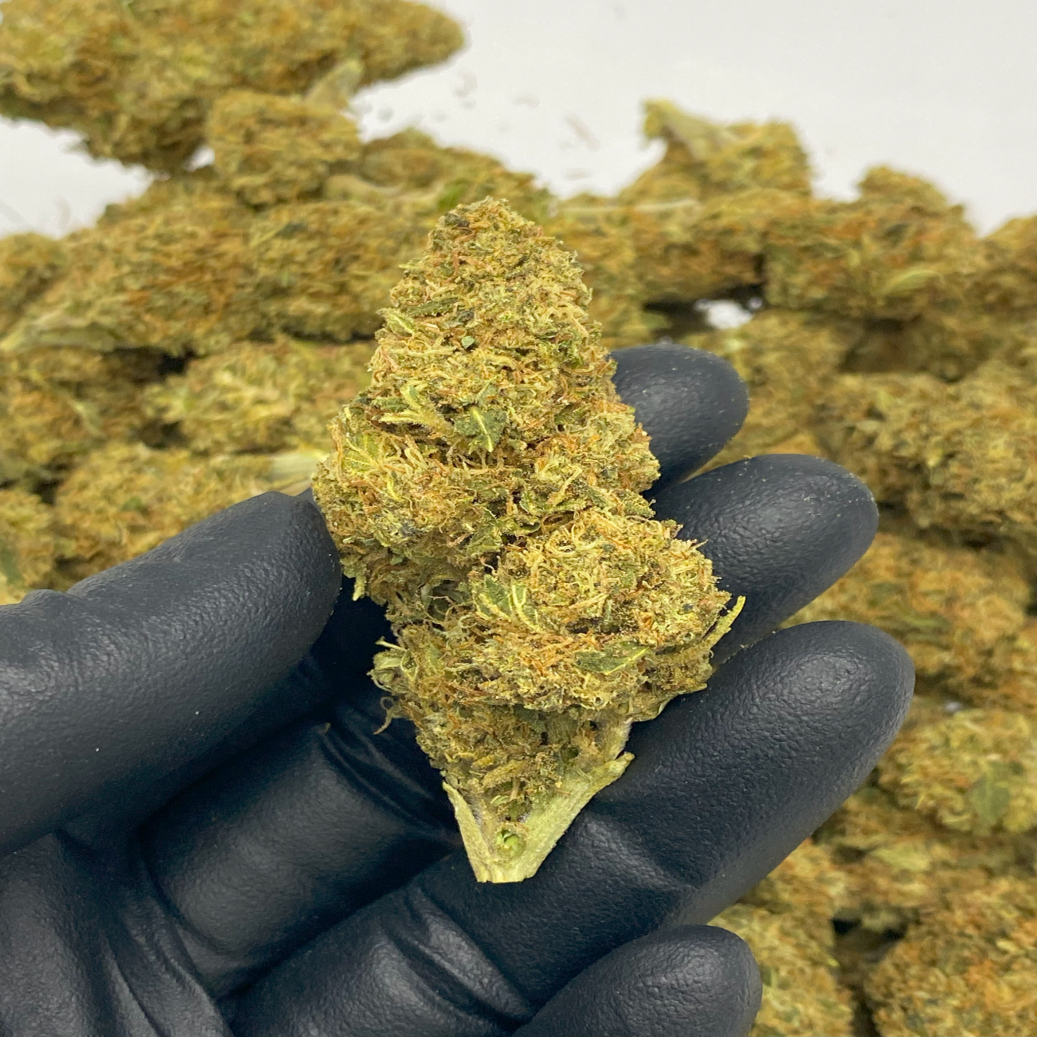 1 OZ (Light Assist) THCa Flower Specials