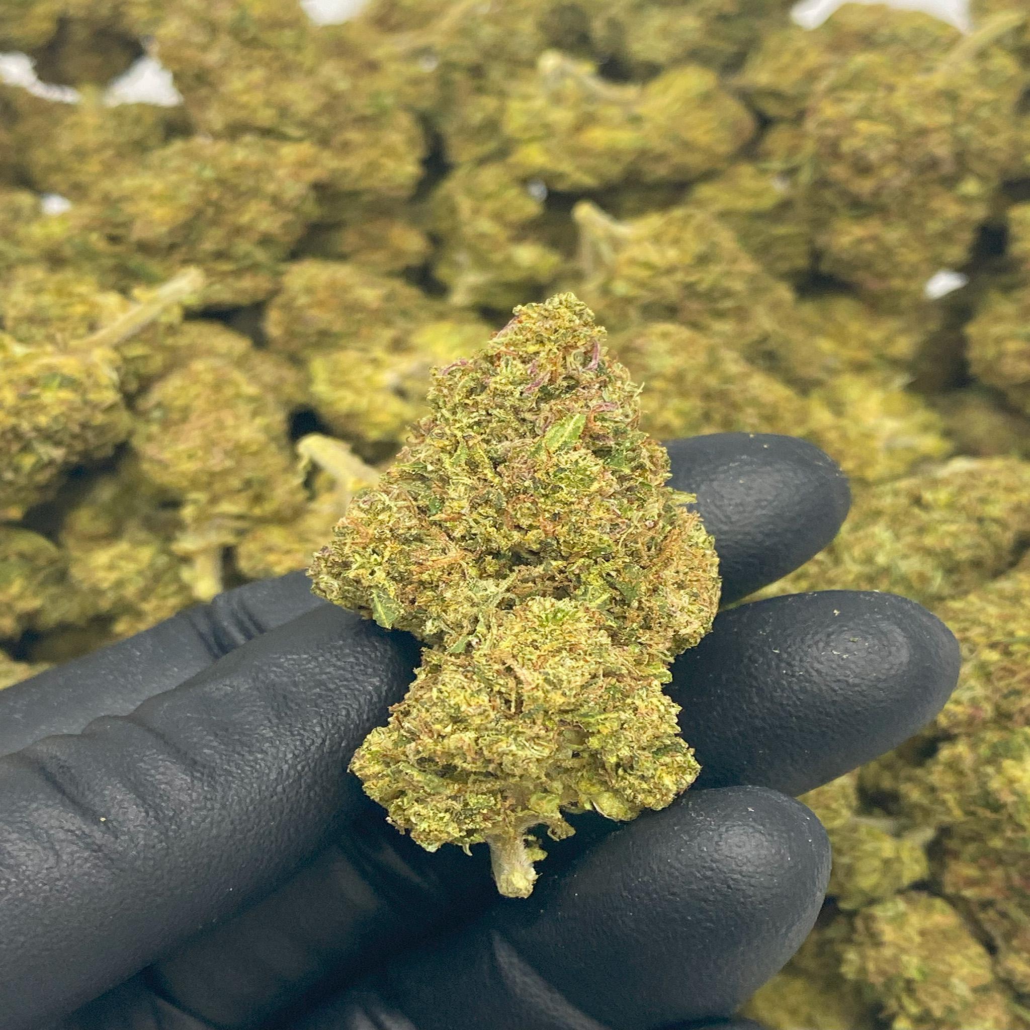 1 OZ (Light Assist) THCa Flower Specials