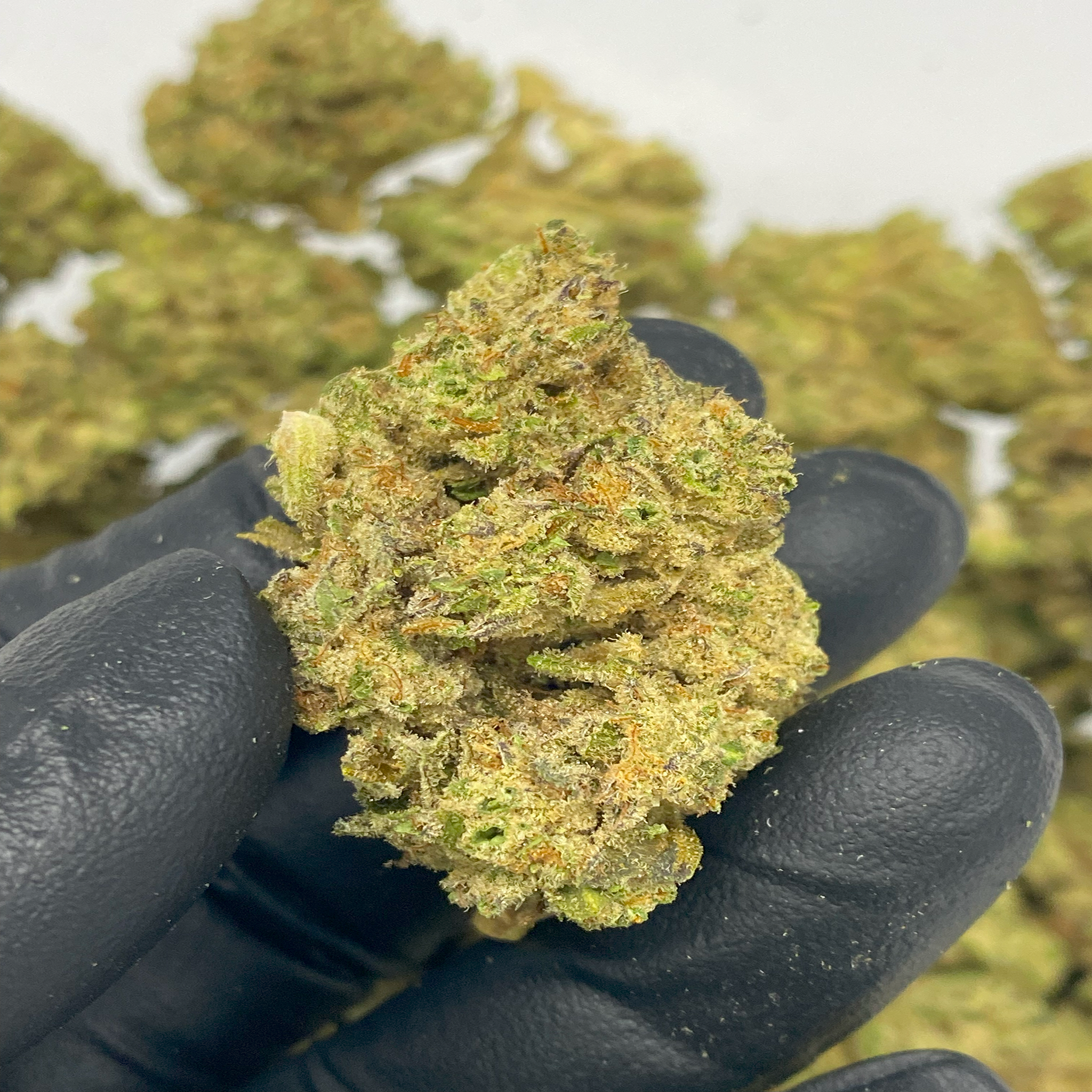 1 OZ (Light Assist) THCa Flower Specials