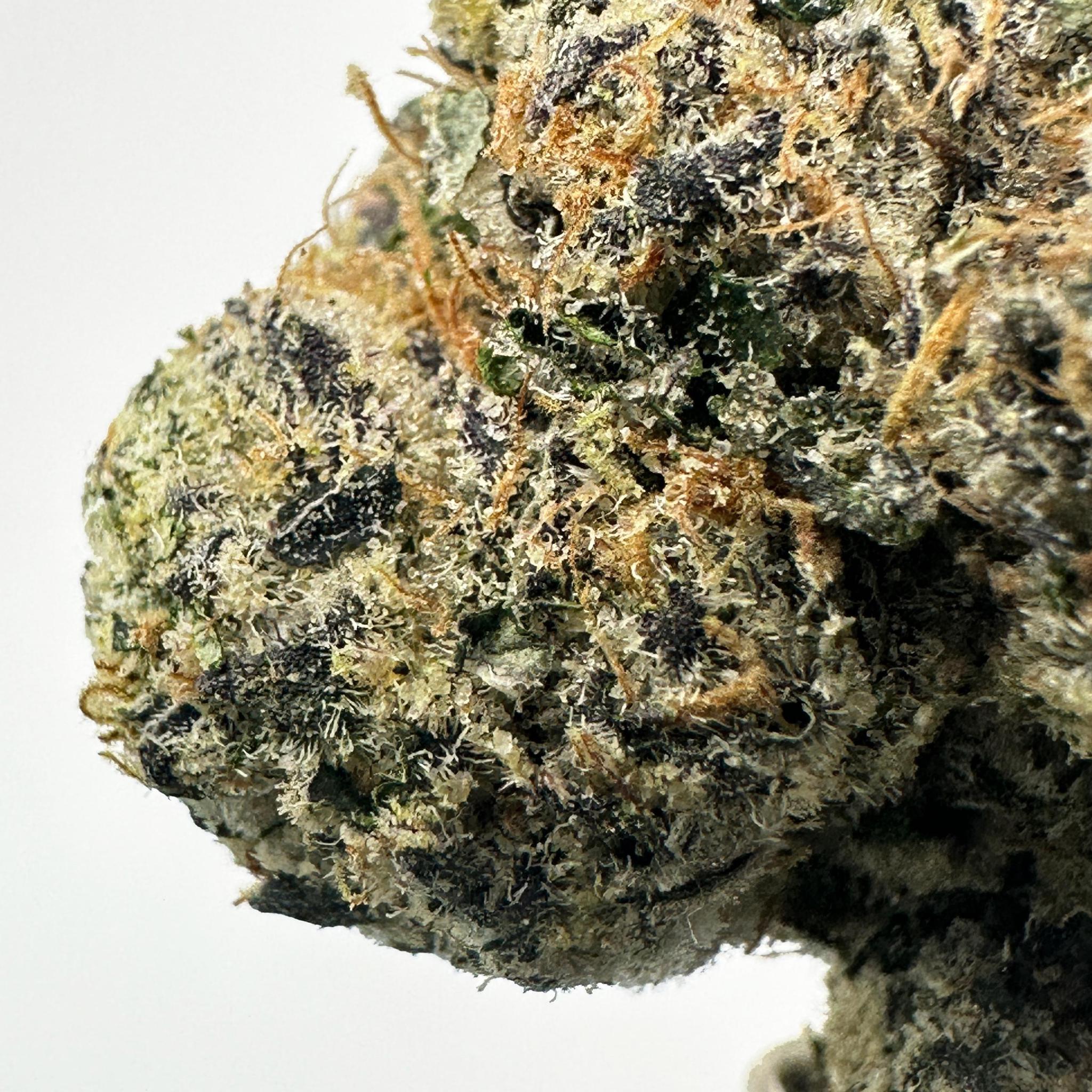 Close-up of a cannabis bud and trichromes with a white background