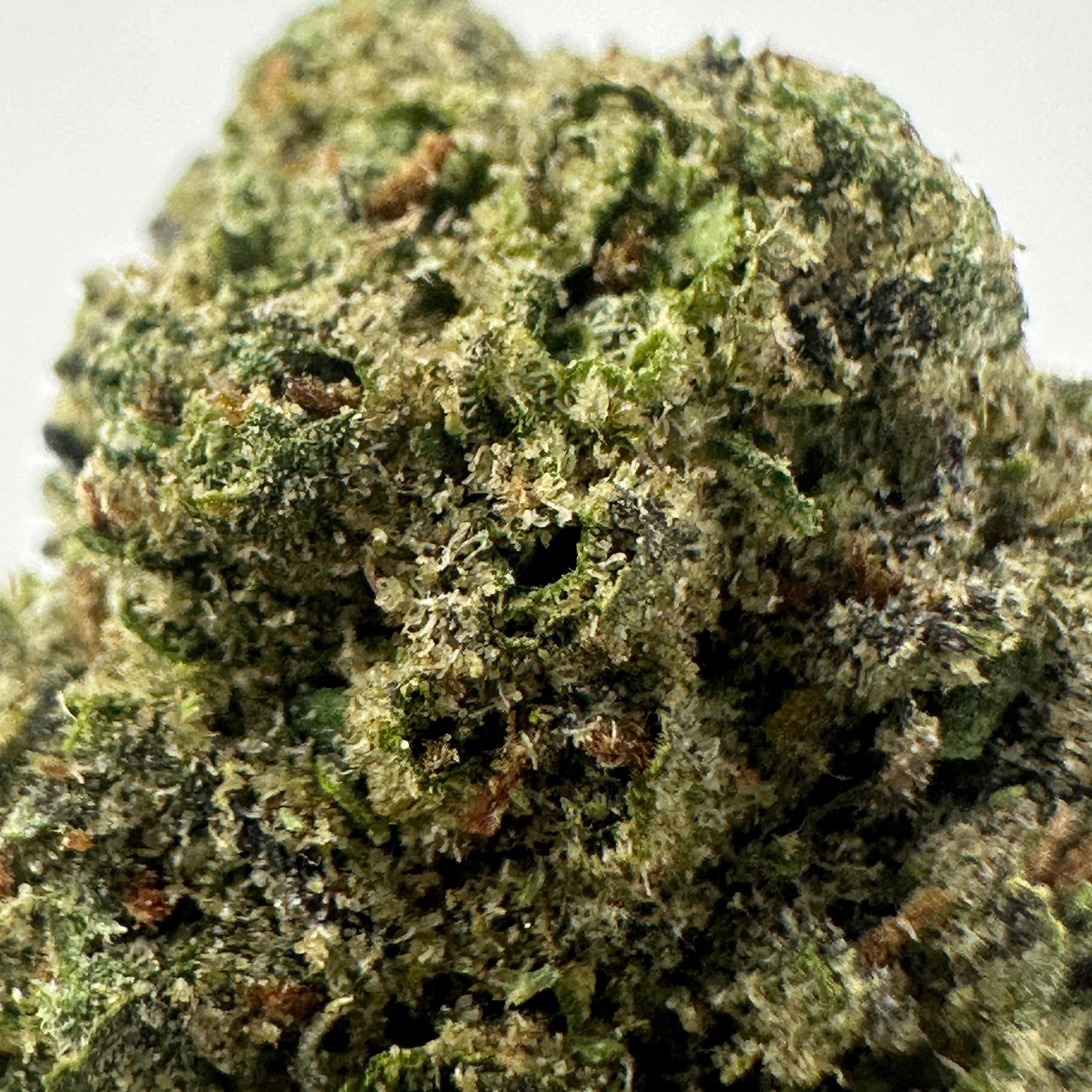 Acapulco Gold THCa Flower