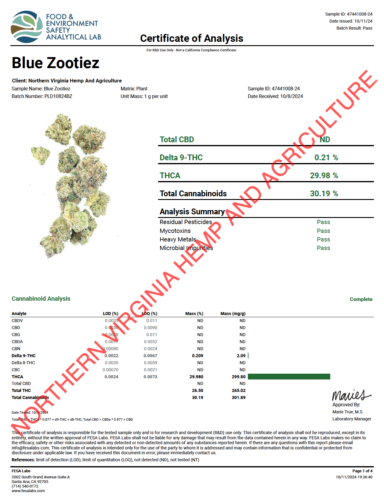Blue Zooties THCa Flower