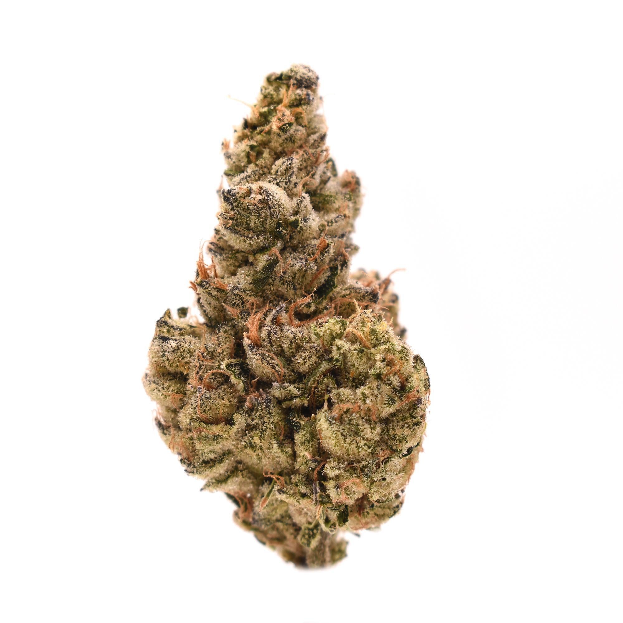 Headband THCa Flower