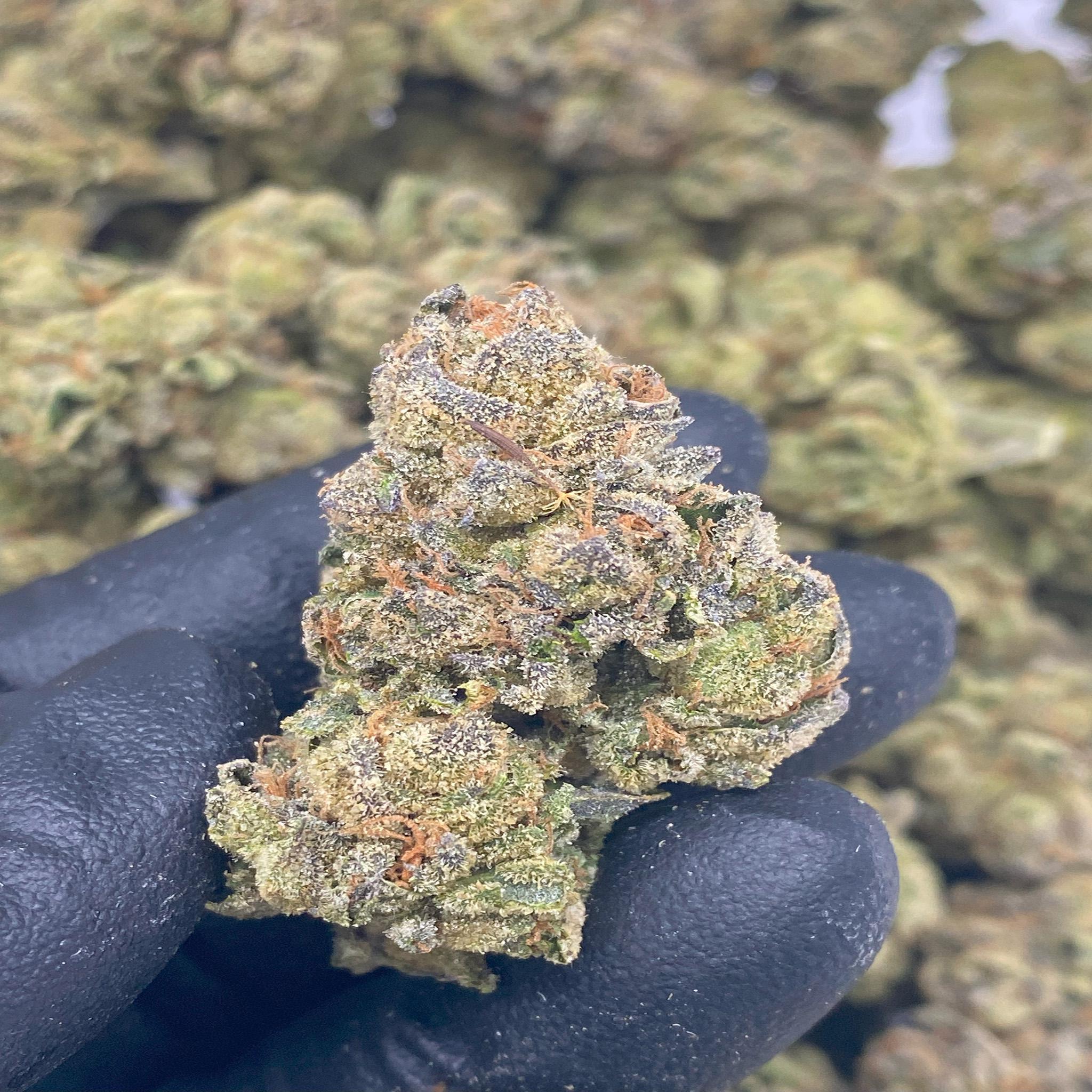 1 OZ (Light Assist) THCa Flower Specials