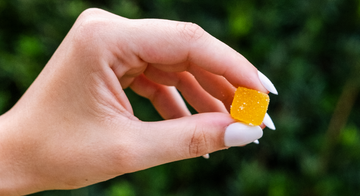 A hand holds a single yellow CBD gummy in an outdoor setting, representing the high-quality CBD products offered by Northern Virginia Hemp.