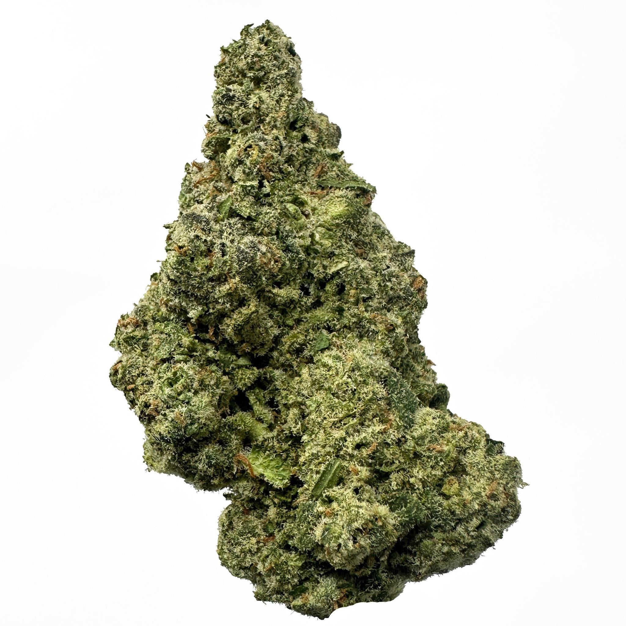 Close-up of a green cannabis bud on a white background