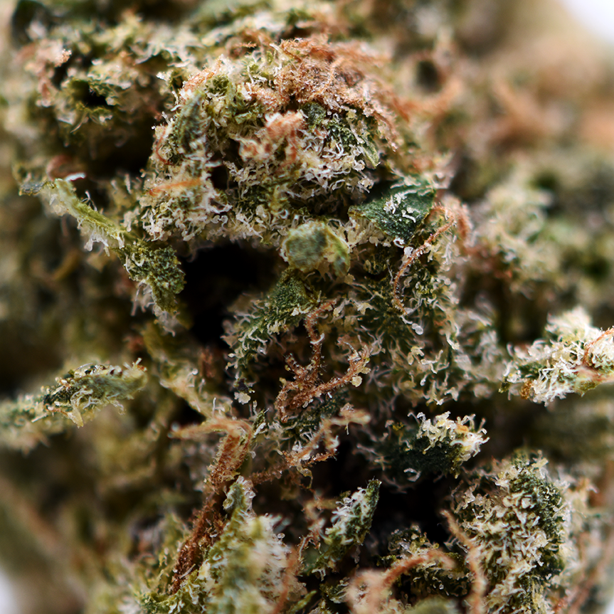 Thai Diesel THCa Flower