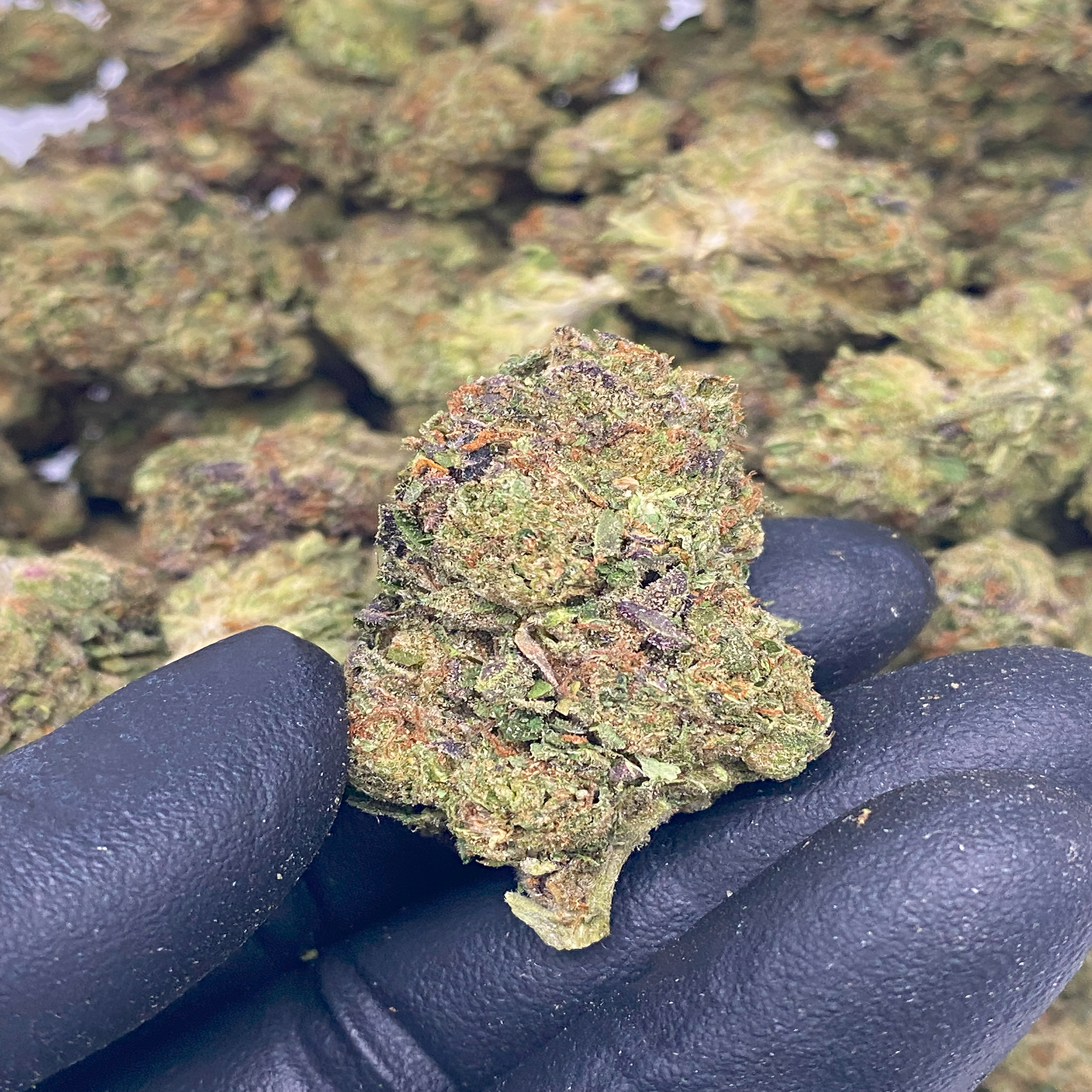 1 OZ (Light Assist) THCa Flower Specials