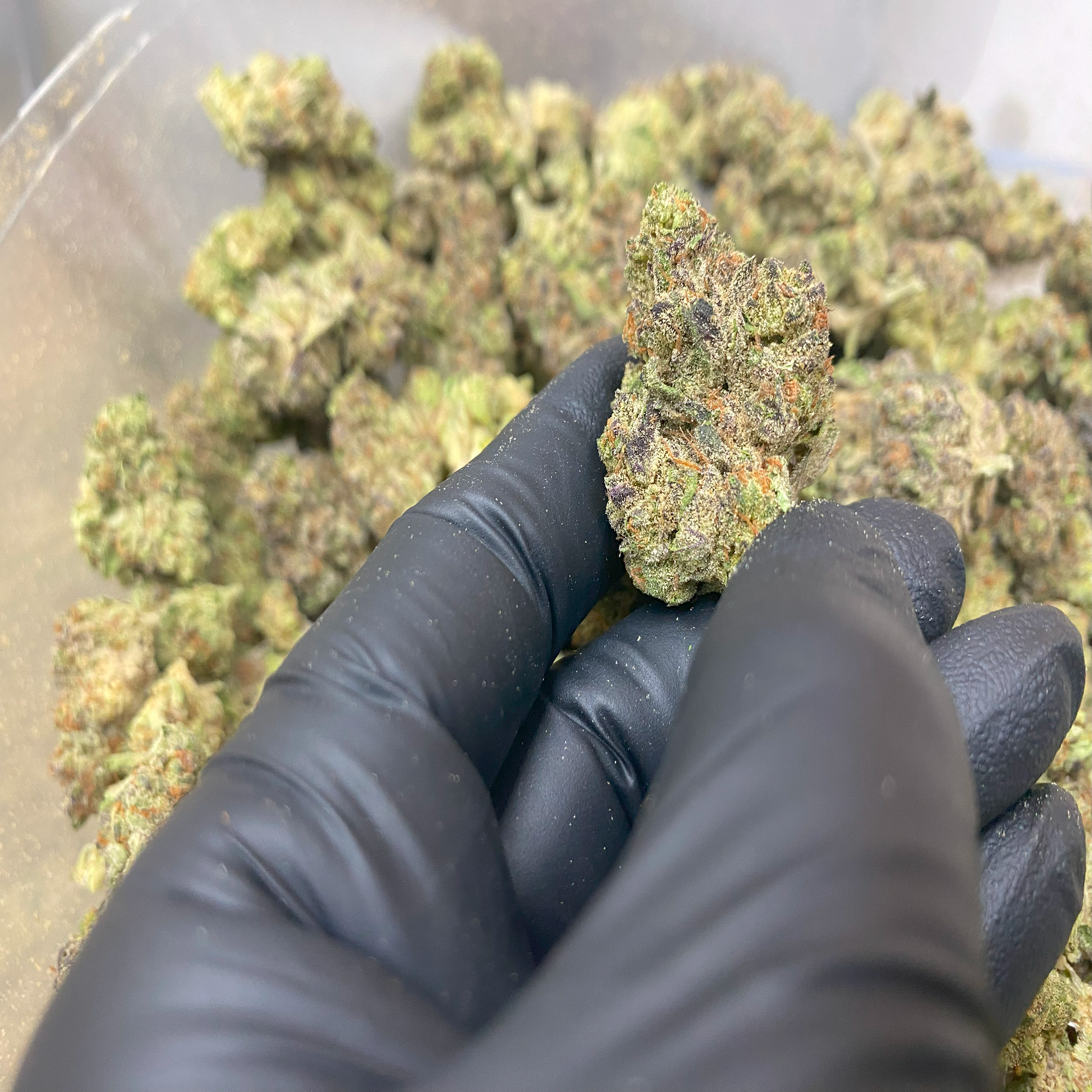 1 OZ (Light Assist) THCa Flower Specials