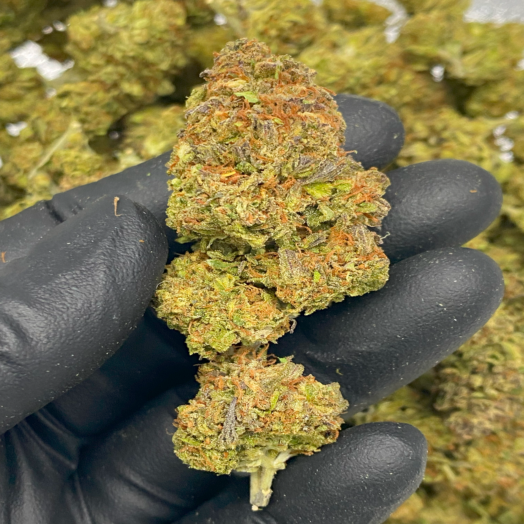 1 OZ (Light Assist) THCa Flower Specials