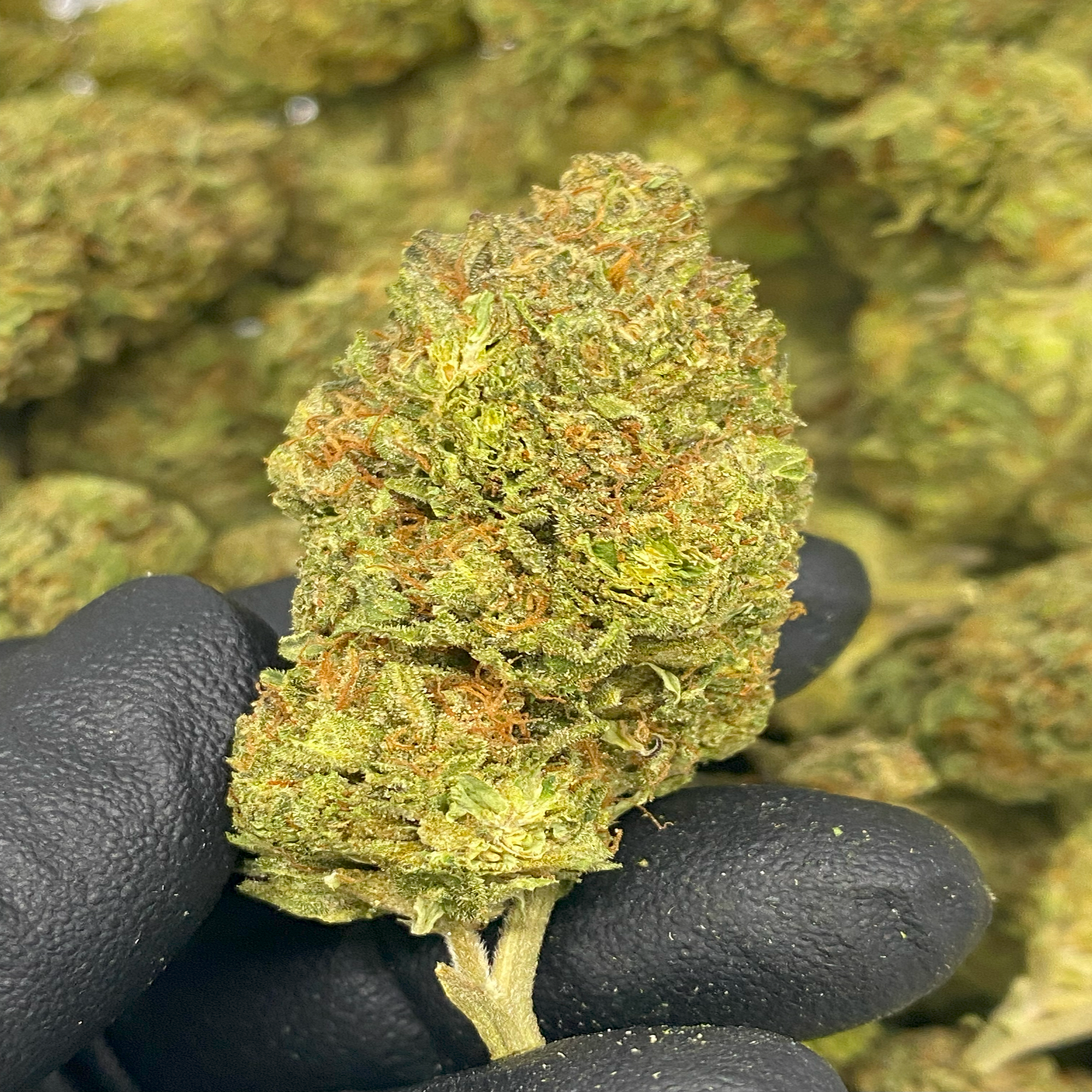 1 OZ (Light Assist) THCa Flower Specials