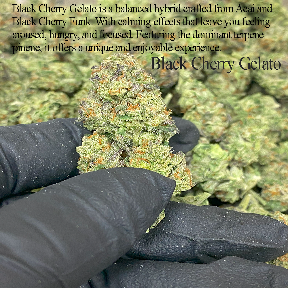 A photograph of Black Cherry THCa flower, available through NOVA Hemp’s best THCa flower deals.