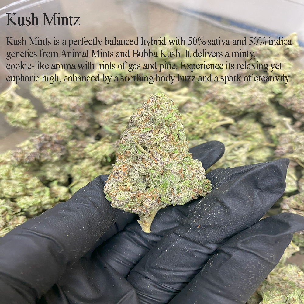 A photograph of Kush Mintz THCa flower, available as one of NOVA Hemp’s exclusive 1 oz THCa flower deals.
