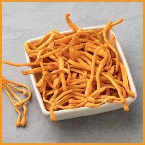 a close up photo of the cordyceps mushroom