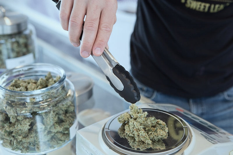 A photograph of an individual in a dispensary using tongs to weigh out exotic THCa flower.