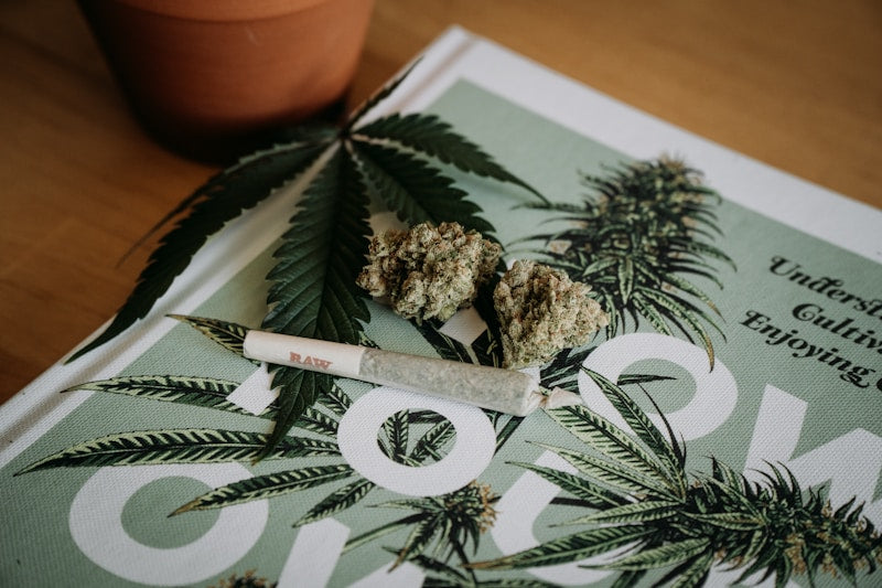 The Best THCA Flower Strains
