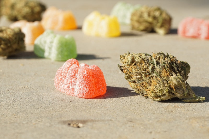 An image of THC gummies and THCa flower against a plain background, representing NOVA Hemp as the best place to buy THC gummies online.