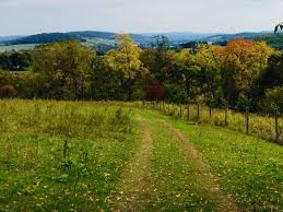 Grassy trail leading through rolling hills and colorful trees at Sky Meadows State Park.