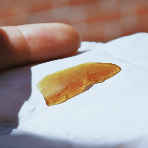 A close-up image of a translucent cannabis concentrate placed on white parchment paper.