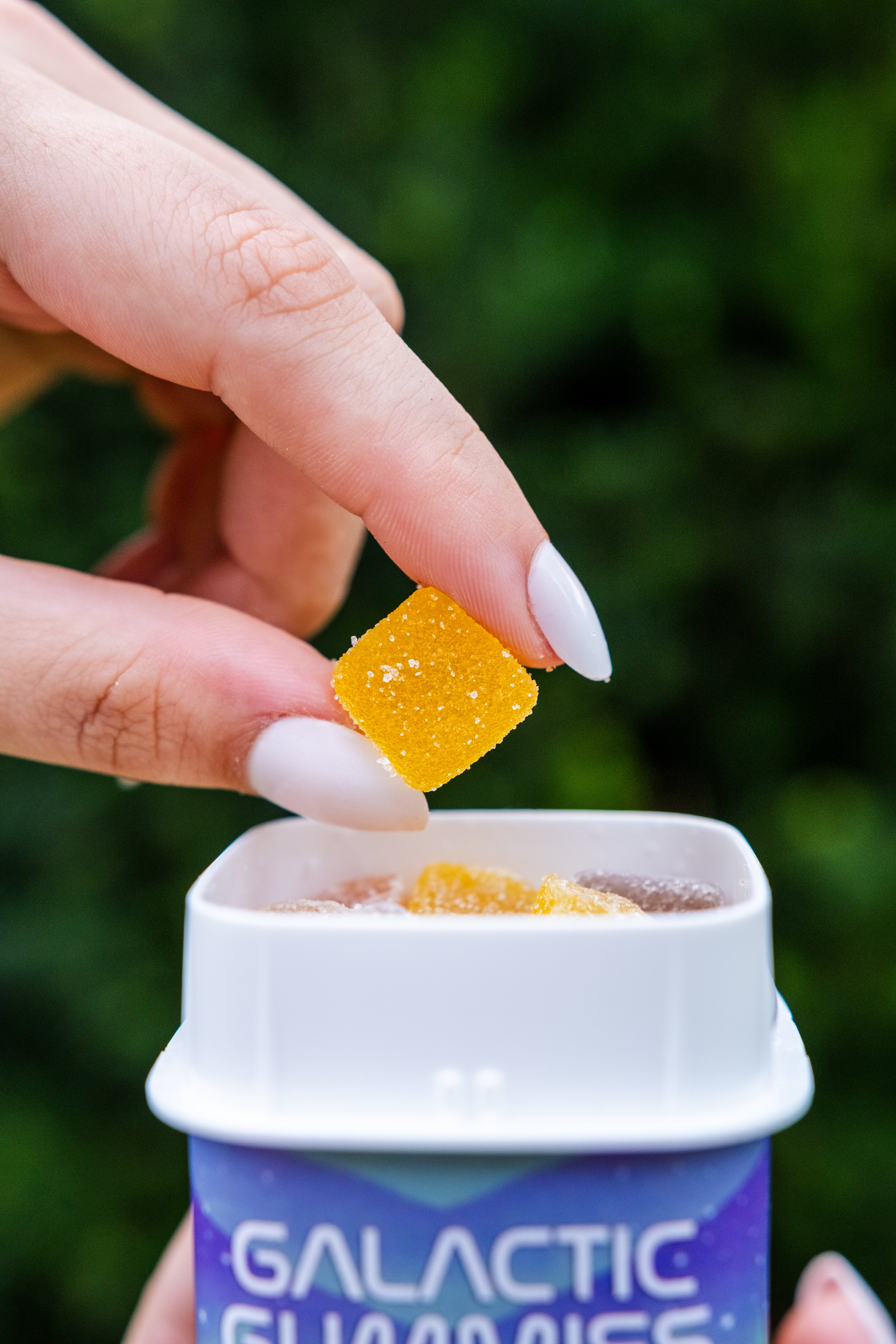 THC Gummies