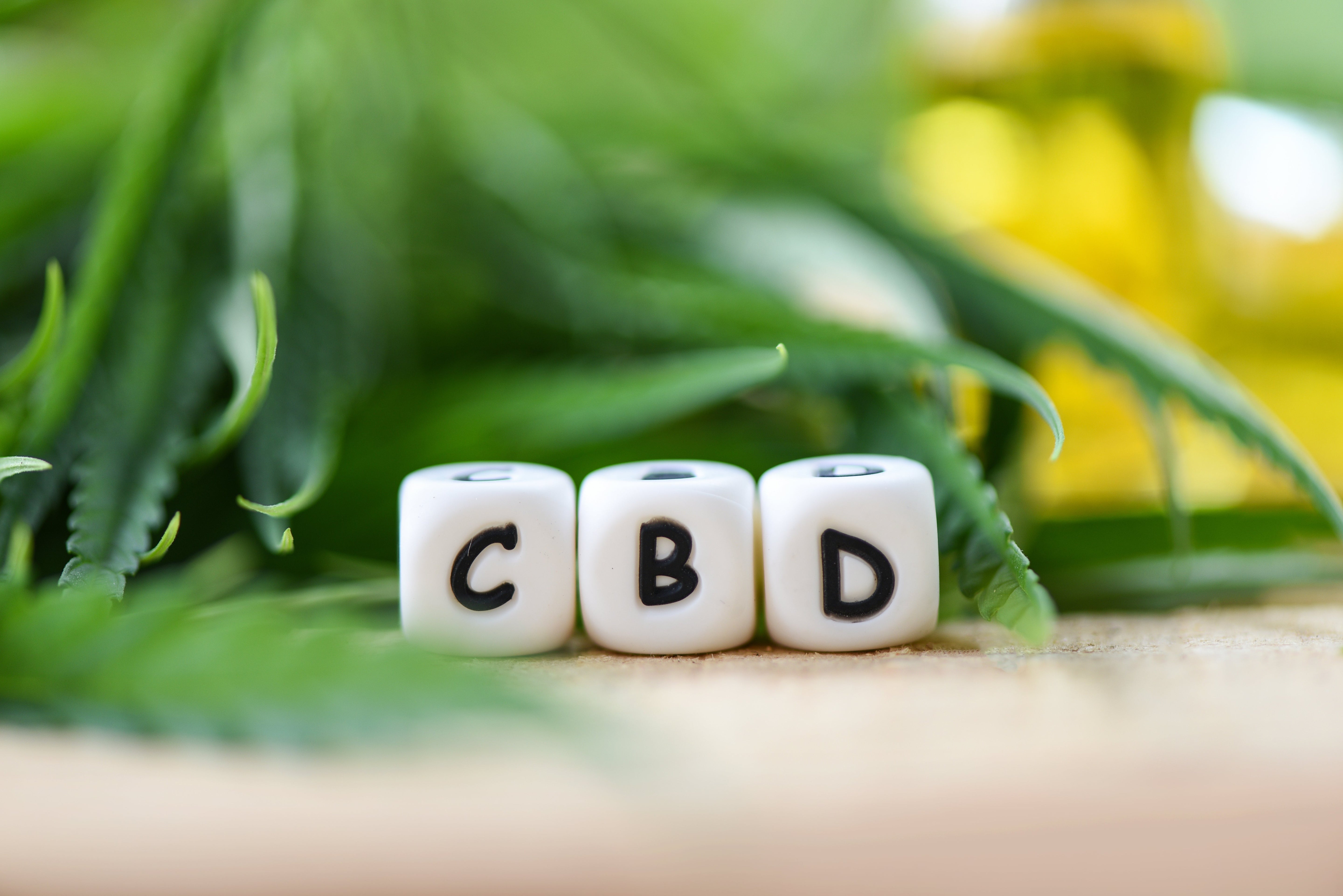 White dice showing the letters C, B, and D, surrounded by green cannabis leaves. 