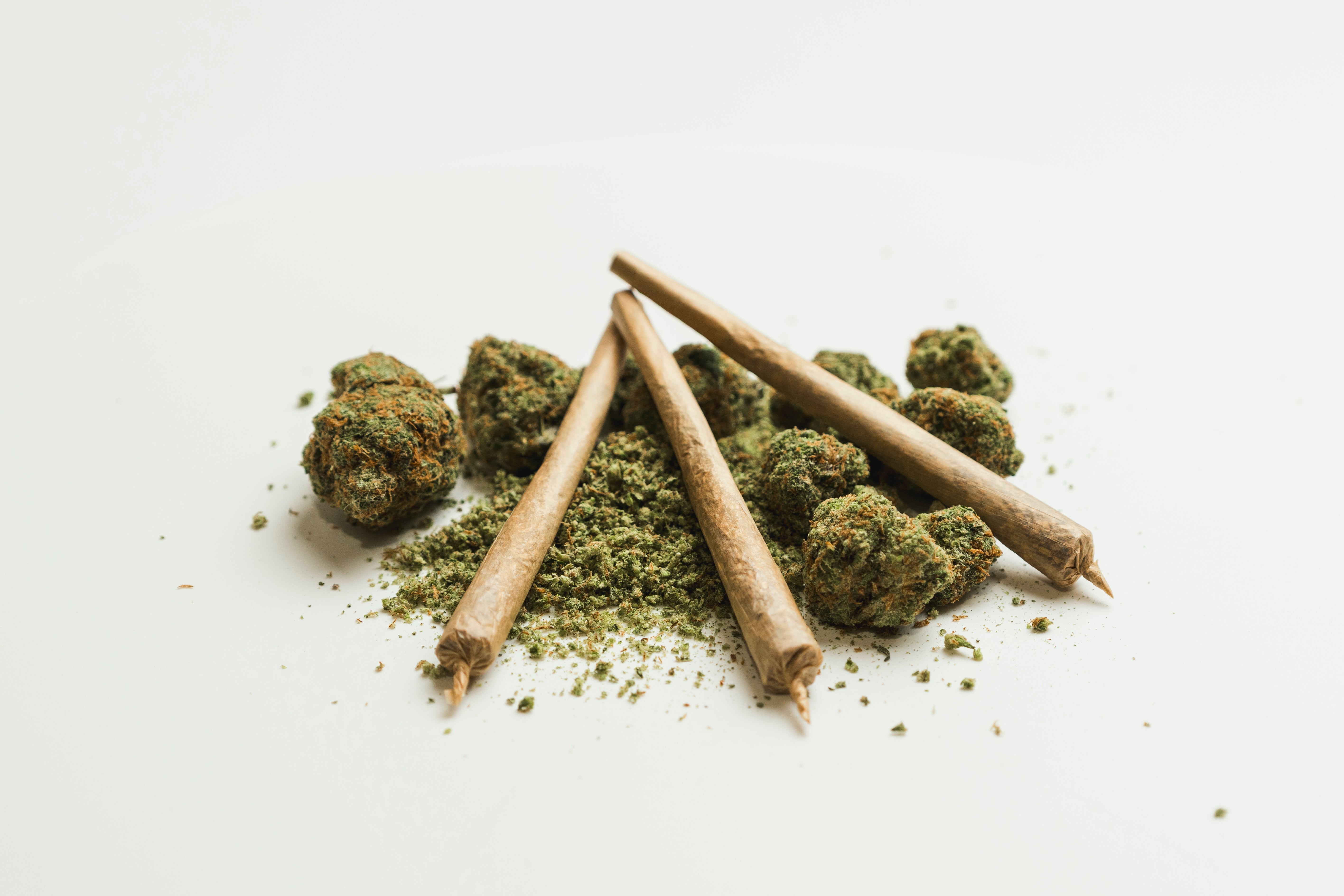 Three rolled joints placed on ground cannabis buds and ground green material. 