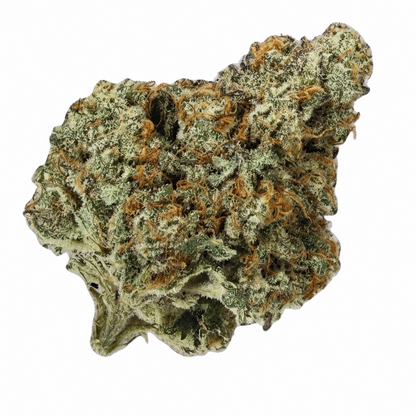 Nova Hemp private reserve cannabis flower with dense frosty buds, vibrant orange hairs, and crystal-coated trichomes photographed on a white background.