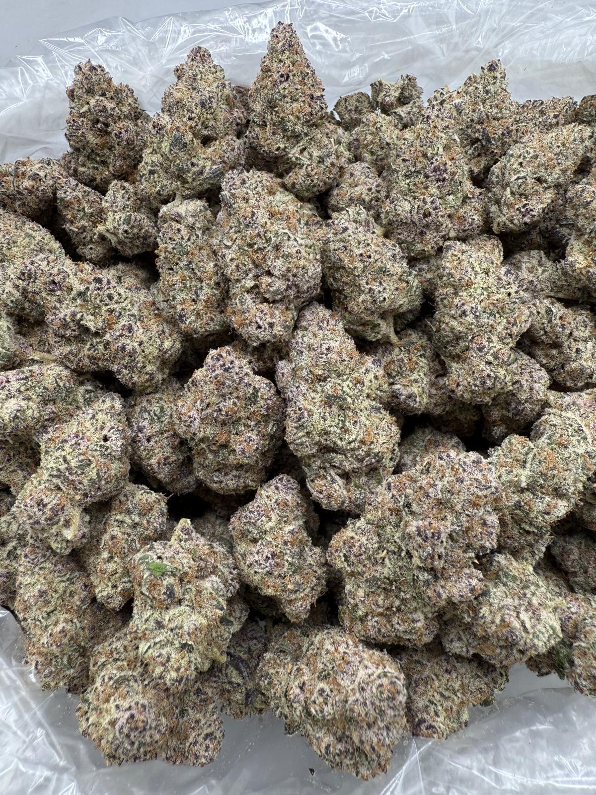 Close-up of a pile of cannabis buds on a white background
