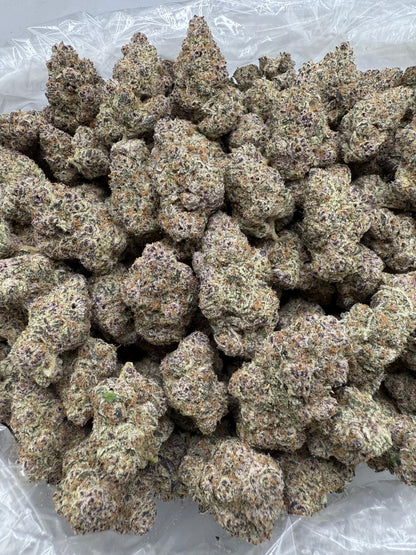 Close-up of a pile of cannabis buds on a white background