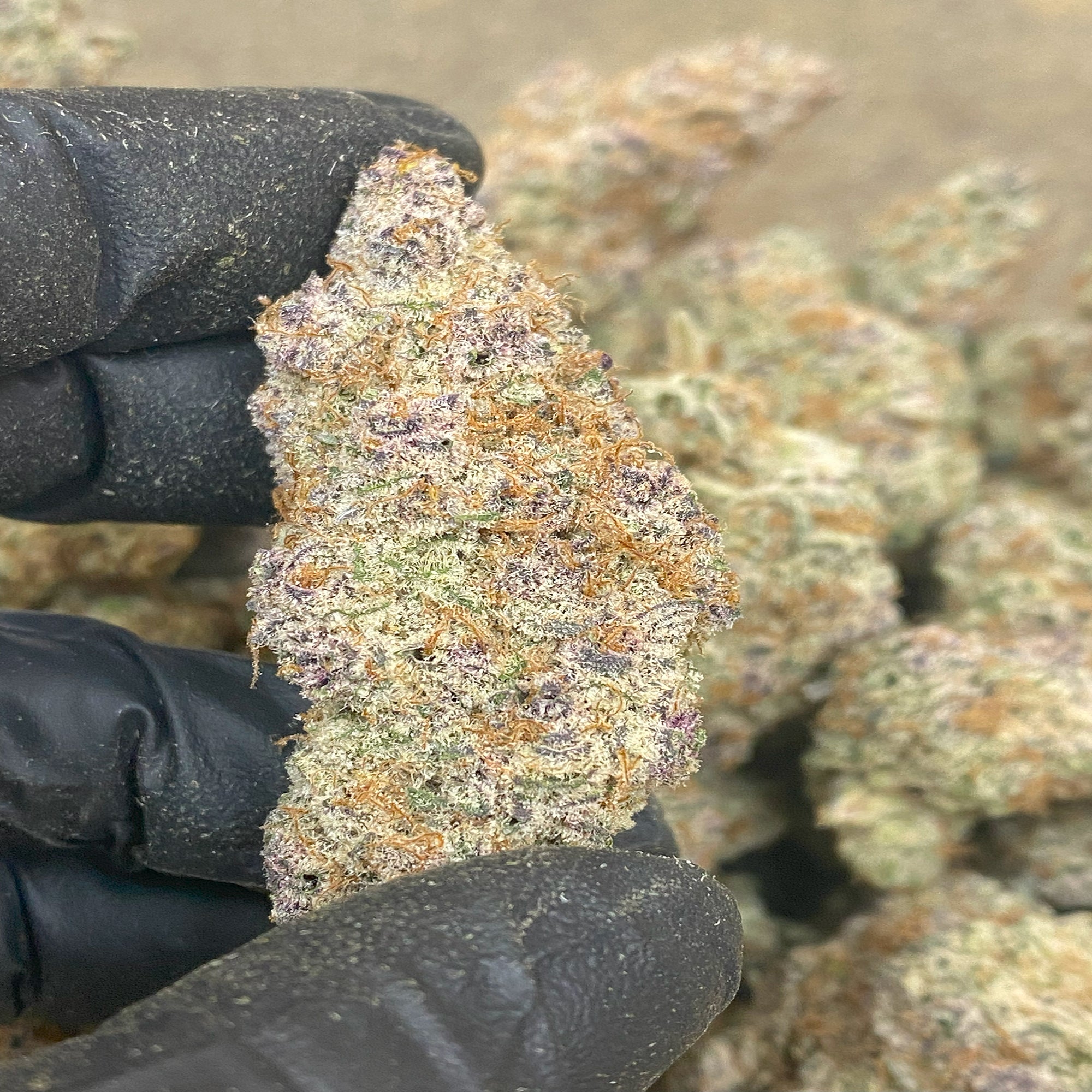Sub Zero Strain Thca Flower