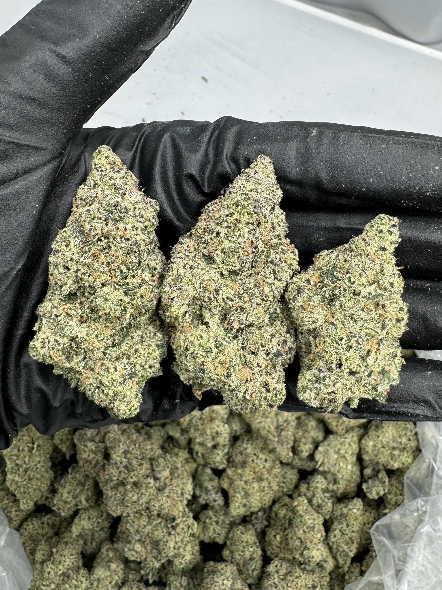 An image of Blue Zooties THCa flower, a premium THCa flower strain from NOVA Hemp.