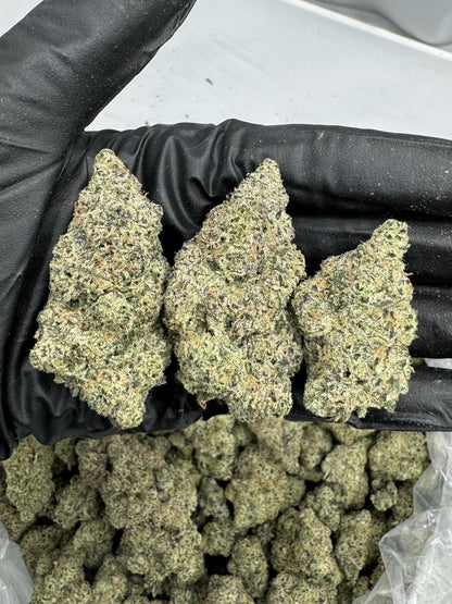 An image of Blue Zooties THCa flower, a premium THCa flower strain from NOVA Hemp.