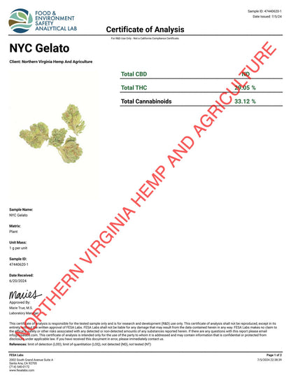 NYC Gelato THCa Flower