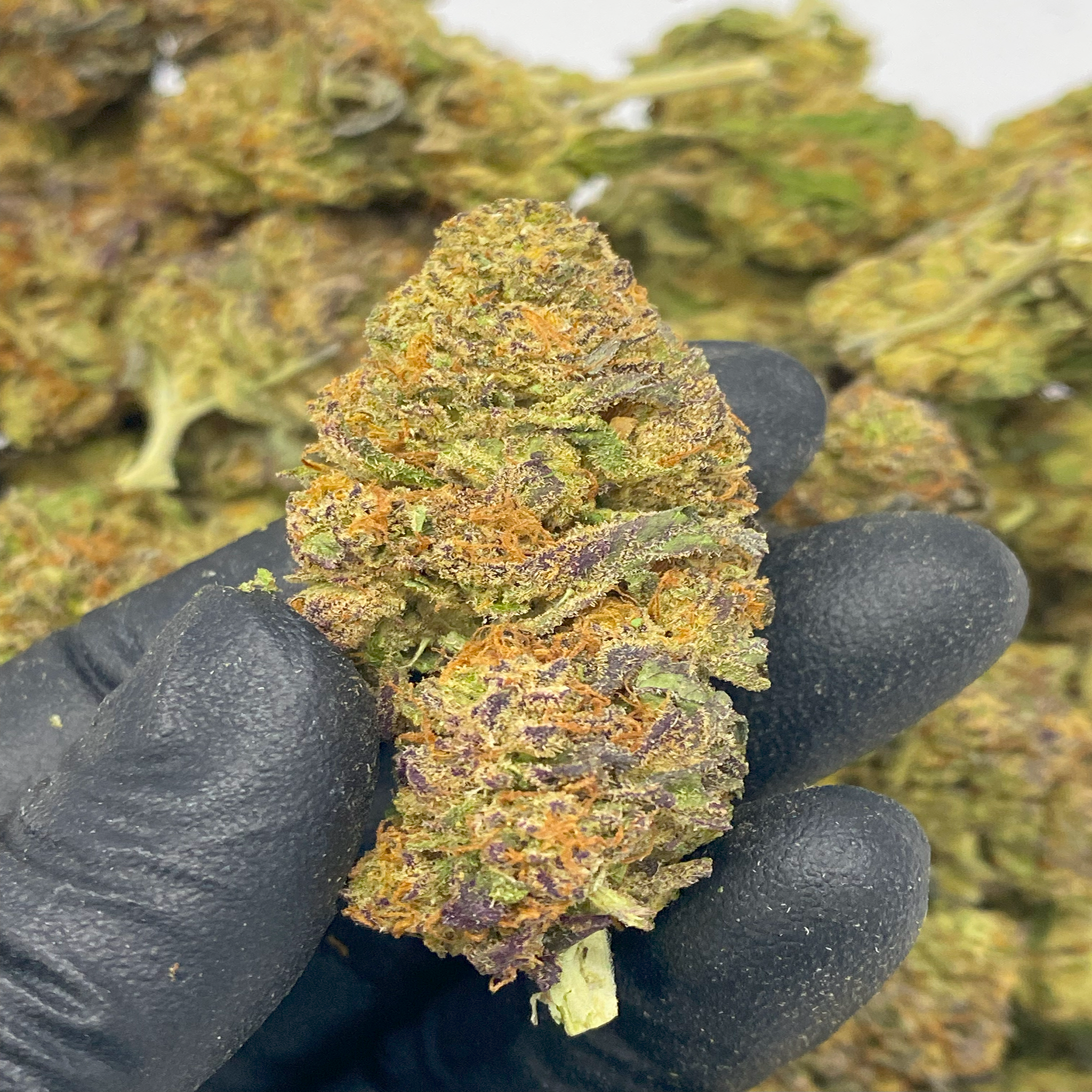 1 OZ (Light Assist) THCa Flower Specials