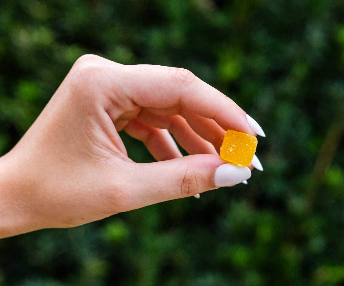 A hand holds a single yellow CBD gummy in an outdoor setting, representing the high-quality CBD products offered by Northern Virginia Hemp.